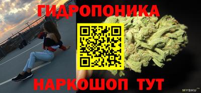 дмт Канаш